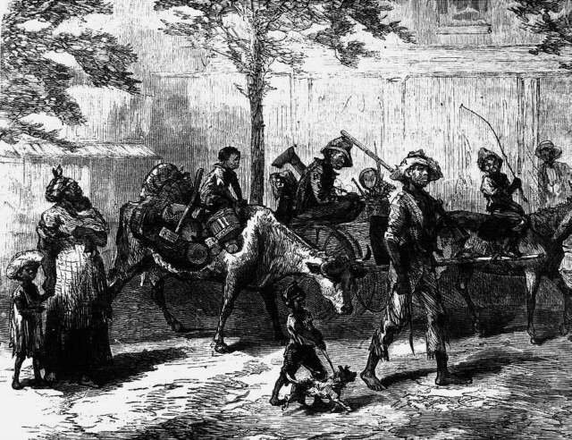 Bolons Exodus verändert den gewebten Boden in eine fantastische Migration